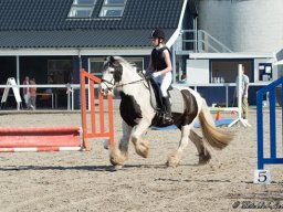 DSC_0020-018